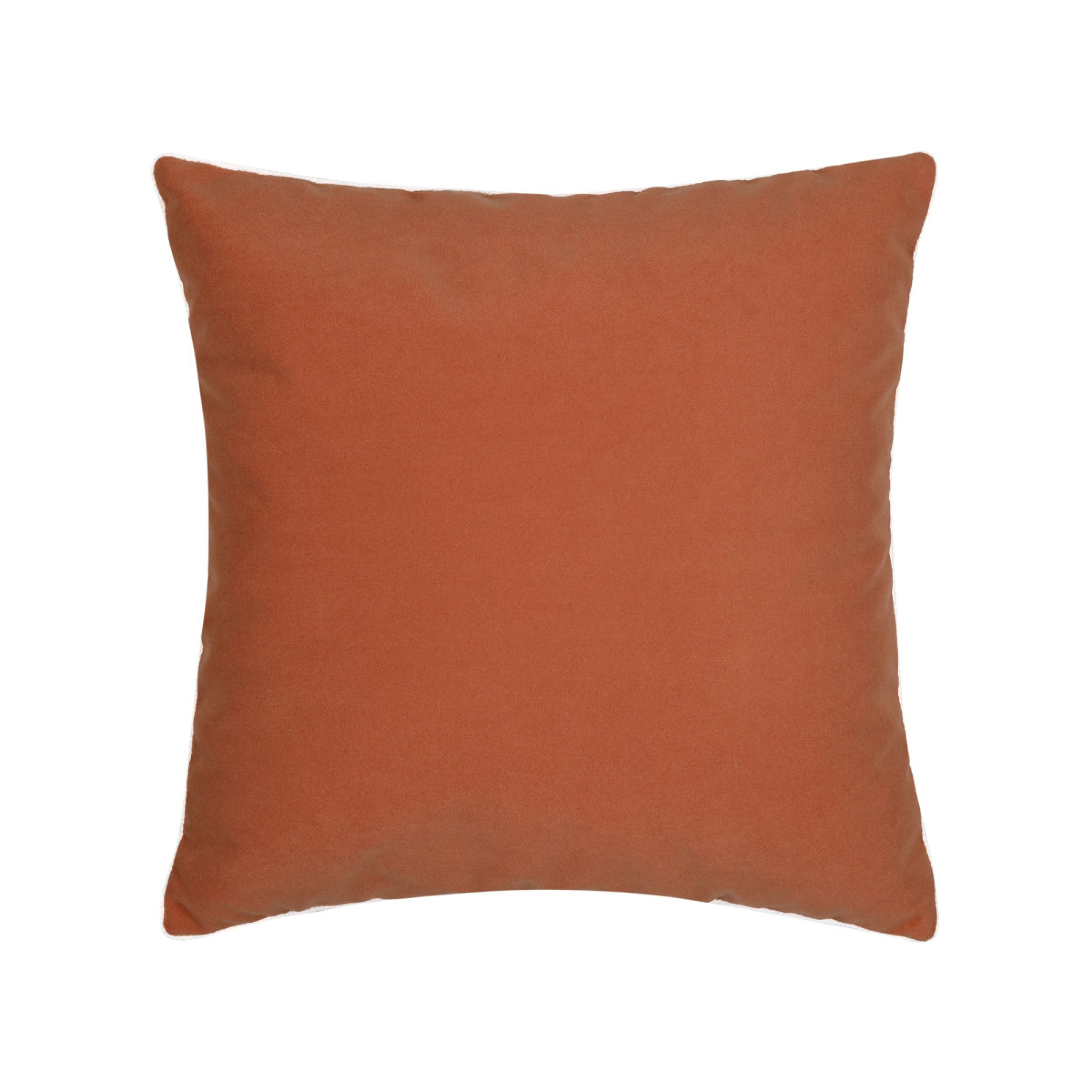 Lush Velvet Papaya/Tiffany Pillow